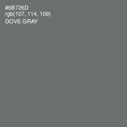 #6B726D - Dove Gray Color Image