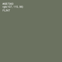 #6B7360 - Flint Color Image