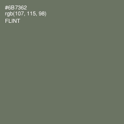 #6B7362 - Flint Color Image