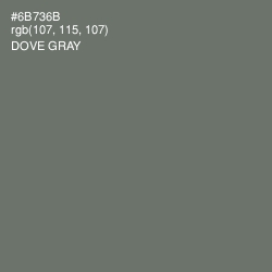 #6B736B - Dove Gray Color Image