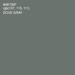 #6B736F - Dove Gray Color Image