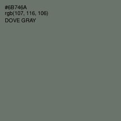 #6B746A - Dove Gray Color Image