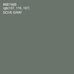 #6B746B - Dove Gray Color Image