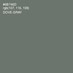 #6B746D - Dove Gray Color Image