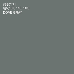#6B7471 - Dove Gray Color Image