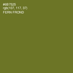 #6B7525 - Fern Frond Color Image