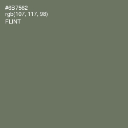 #6B7562 - Flint Color Image