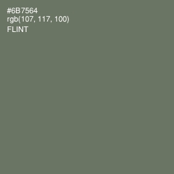 #6B7564 - Flint Color Image