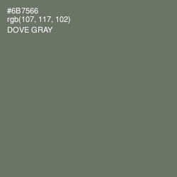 #6B7566 - Dove Gray Color Image