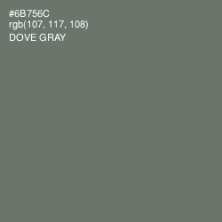 #6B756C - Dove Gray Color Image
