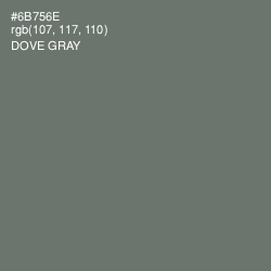 #6B756E - Dove Gray Color Image
