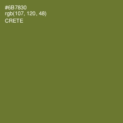 #6B7830 - Crete Color Image