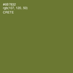 #6B7832 - Crete Color Image