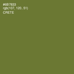 #6B7833 - Crete Color Image