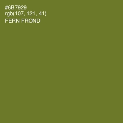 #6B7929 - Fern Frond Color Image