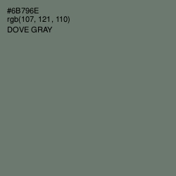 #6B796E - Dove Gray Color Image