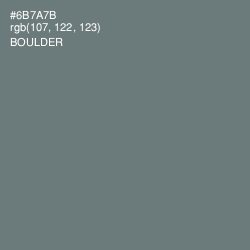 #6B7A7B - Boulder Color Image