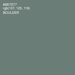 #6B7D77 - Boulder Color Image