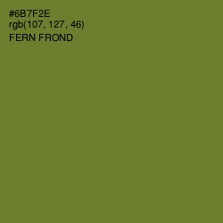 #6B7F2E - Fern Frond Color Image