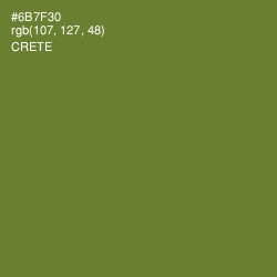 #6B7F30 - Crete Color Image
