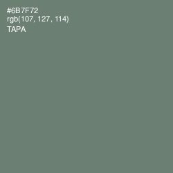 #6B7F72 - Tapa Color Image