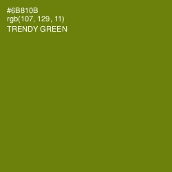#6B810B - Trendy Green Color Image