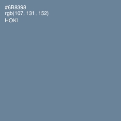 #6B8398 - Hoki Color Image