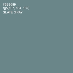 #6B8689 - Slate Gray Color Image