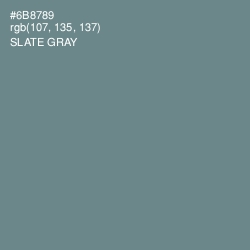 #6B8789 - Slate Gray Color Image