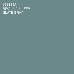 #6B888A - Slate Gray Color Image