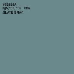#6B898A - Slate Gray Color Image