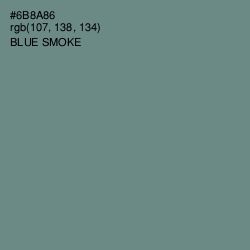 #6B8A86 - Blue Smoke Color Image