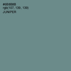 #6B8B8B - Juniper Color Image