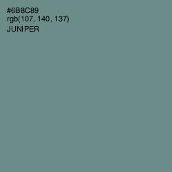 #6B8C89 - Juniper Color Image