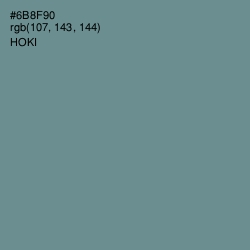 #6B8F90 - Hoki Color Image