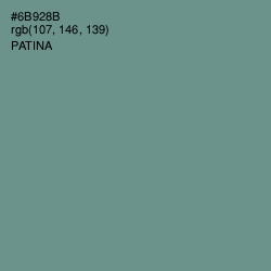 #6B928B - Patina Color Image