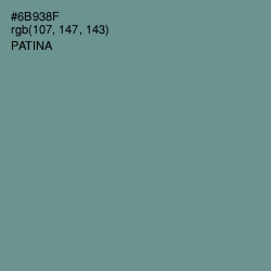 #6B938F - Patina Color Image