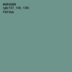 #6B958B - Patina Color Image