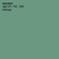 #6B9880 - Patina Color Image