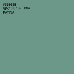 #6B9888 - Patina Color Image