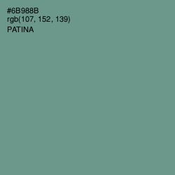 #6B988B - Patina Color Image