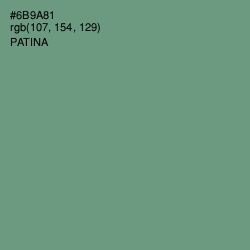 #6B9A81 - Patina Color Image
