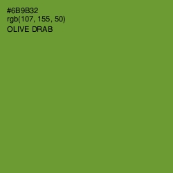 #6B9B32 - Olive Drab Color Image