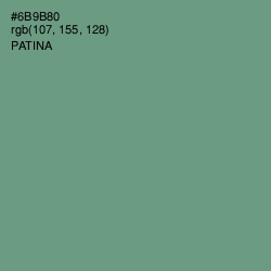 #6B9B80 - Patina Color Image