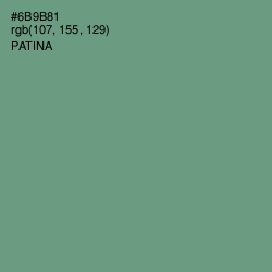 #6B9B81 - Patina Color Image