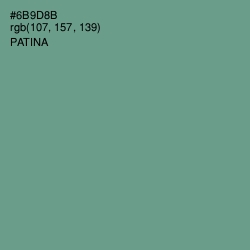 #6B9D8B - Patina Color Image