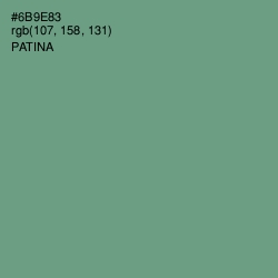 #6B9E83 - Patina Color Image