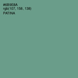 #6B9E8A - Patina Color Image