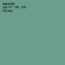 #6B9E8B - Patina Color Image