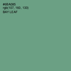 #6BA085 - Bay Leaf Color Image